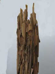 Sycamore Totem